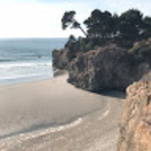 Meet your Posher, Simone